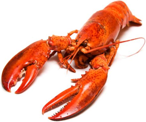Seafood-shrimps Seafood-shrimps
